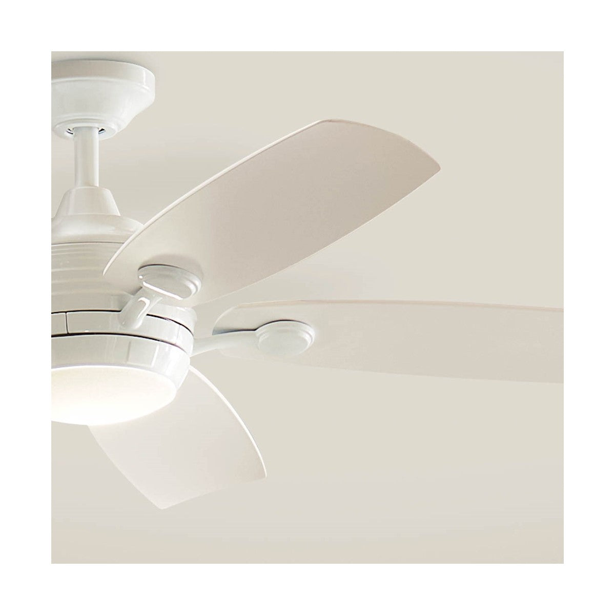 Tranquil 56 Inch White LED Damp Rated Ceiling Fan with Remote - Bees Lighting