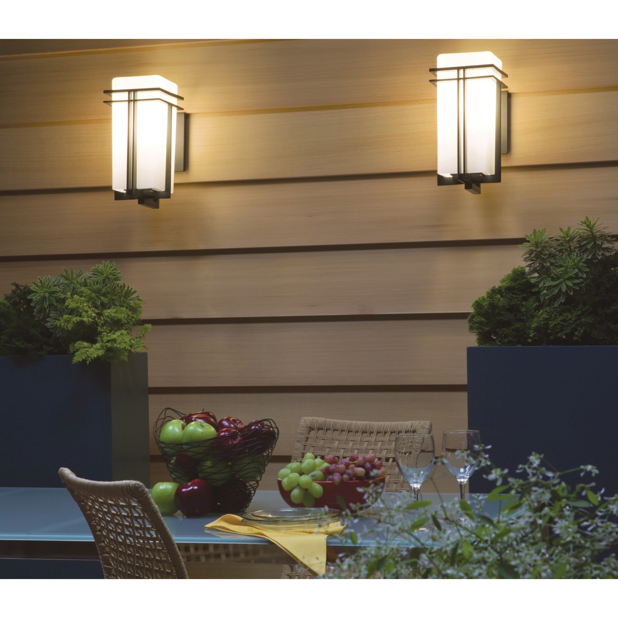 Tremillo 17" Outdoor Wall Light, Black Finish - Bees Lighting