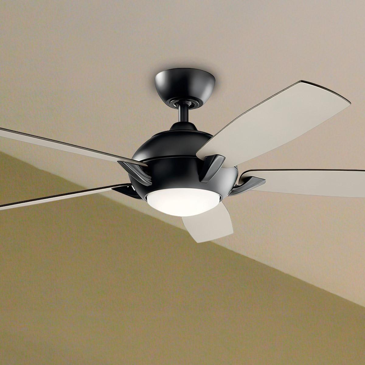 Geno 54 Inch Traditional Ceiling Fan With Light And Remote