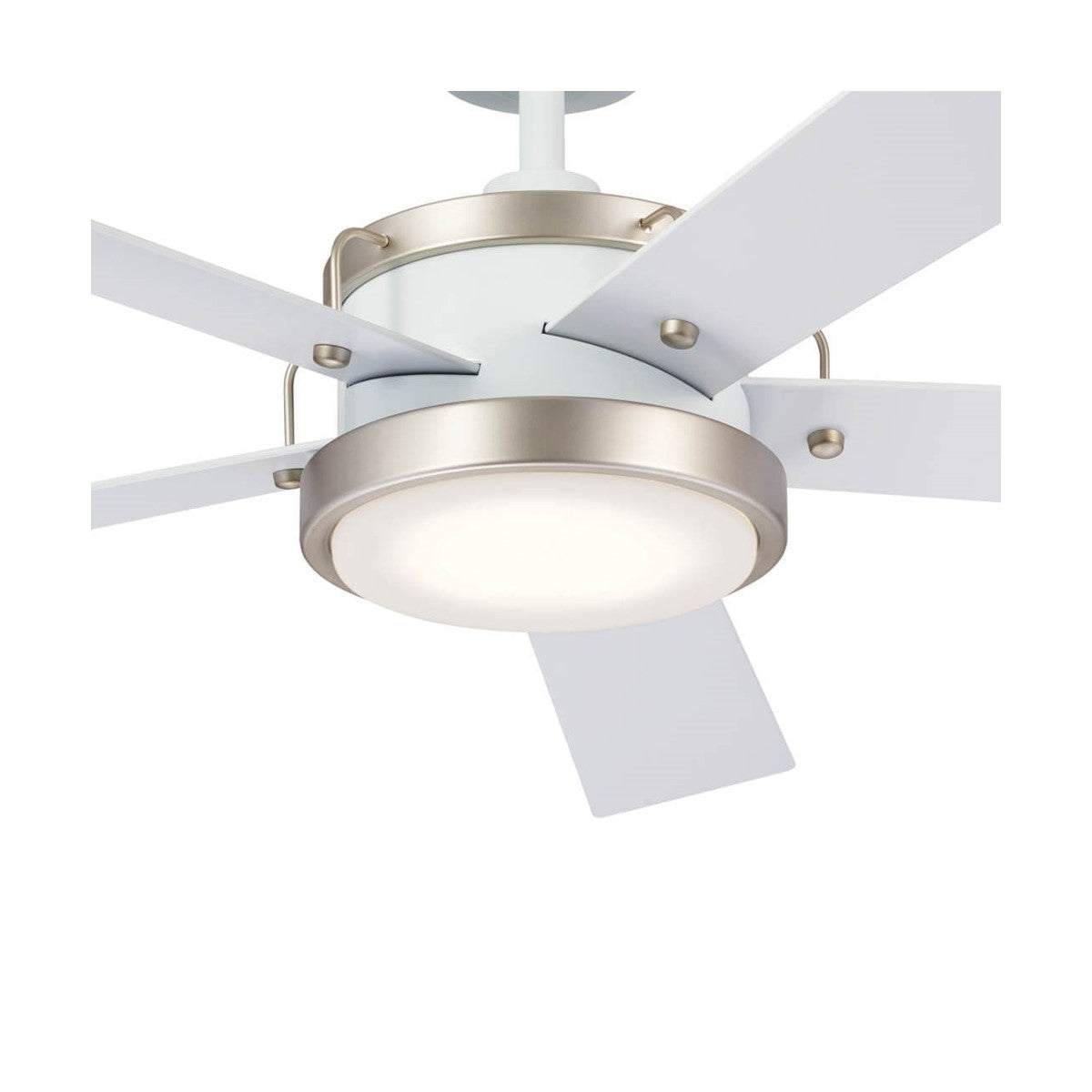 Salvo 56 Inch White LED Ceiling Fan with Wall Control - Bees Lighting