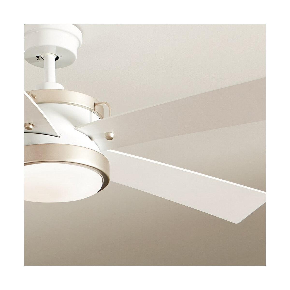 Salvo 56 Inch Modern Propeller Ceiling Fan With Light And Wall Control - Bees Lighting