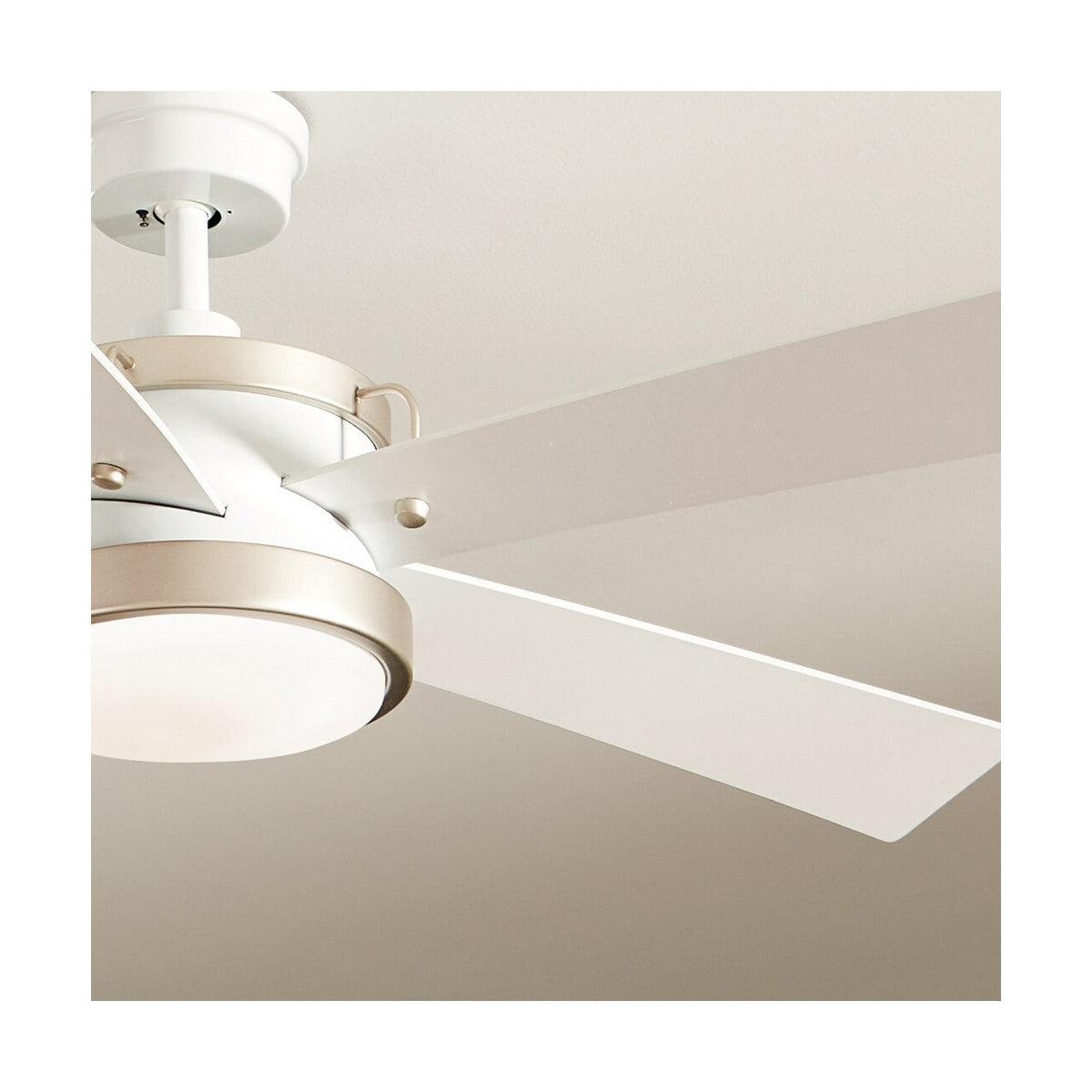 Salvo 56 Inch White LED Ceiling Fan with Wall Control - Bees Lighting