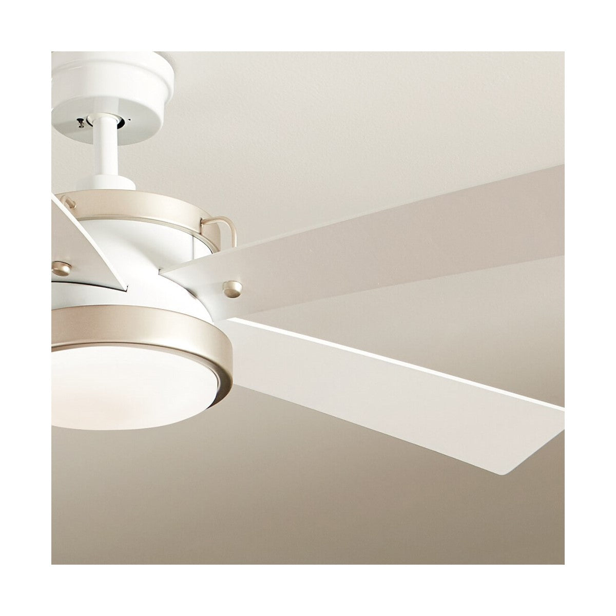 Salvo 56 Inch White LED Ceiling Fan with Wall Control - Bees Lighting