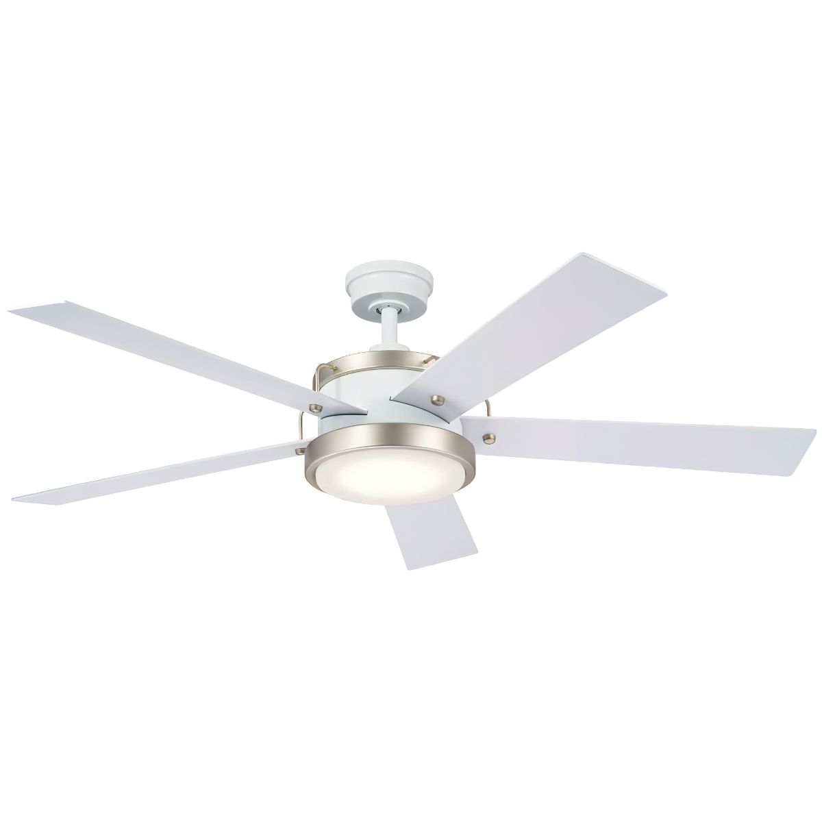 Salvo 56 Inch White LED Ceiling Fan with Wall Control - Bees Lighting