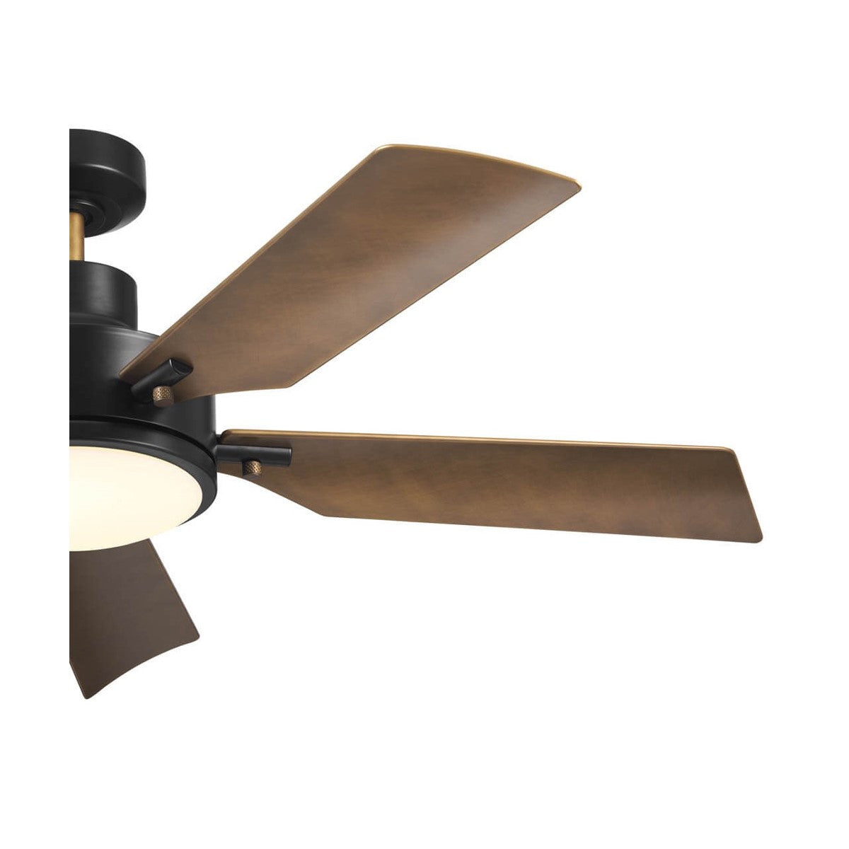 Guardian 56 Inch Black and Brass LED Ceiling Fan with Remote - Bees Lighting