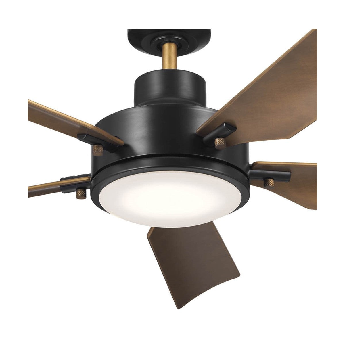 Guardian 56 Inch Black and Brass LED Ceiling Fan with Remote - Bees Lighting