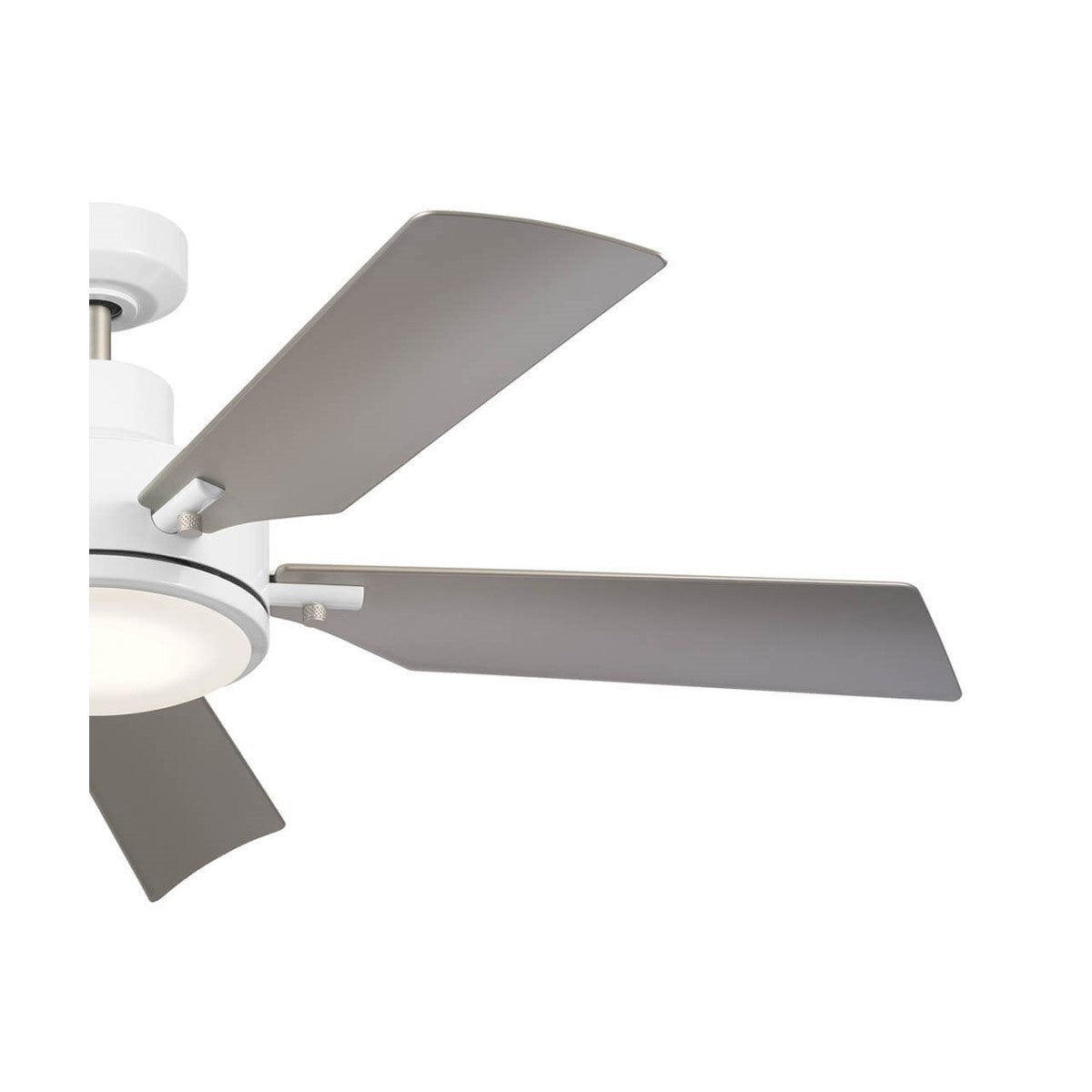 Guardian 56 Inch White and Silver LED Ceiling Fan with Remote - Bees Lighting