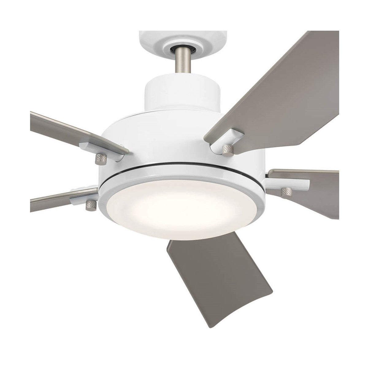 Guardian 56 Inch White and Silver LED Ceiling Fan with Remote - Bees Lighting