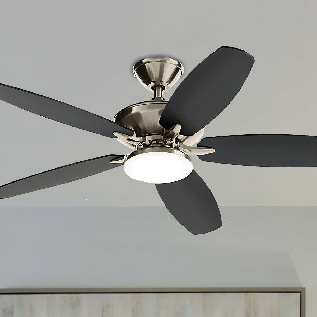 Renew Designer 52 Inch Brushed Nickel Damp Rated LED Ceiling Fan with Remote - Bees Lighting