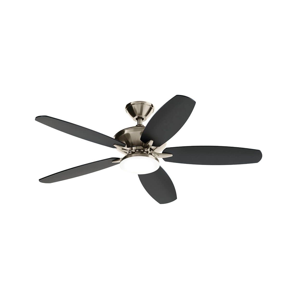 Renew Designer 52 Inch Brushed Nickel Damp Rated LED Ceiling Fan with Remote - Bees Lighting