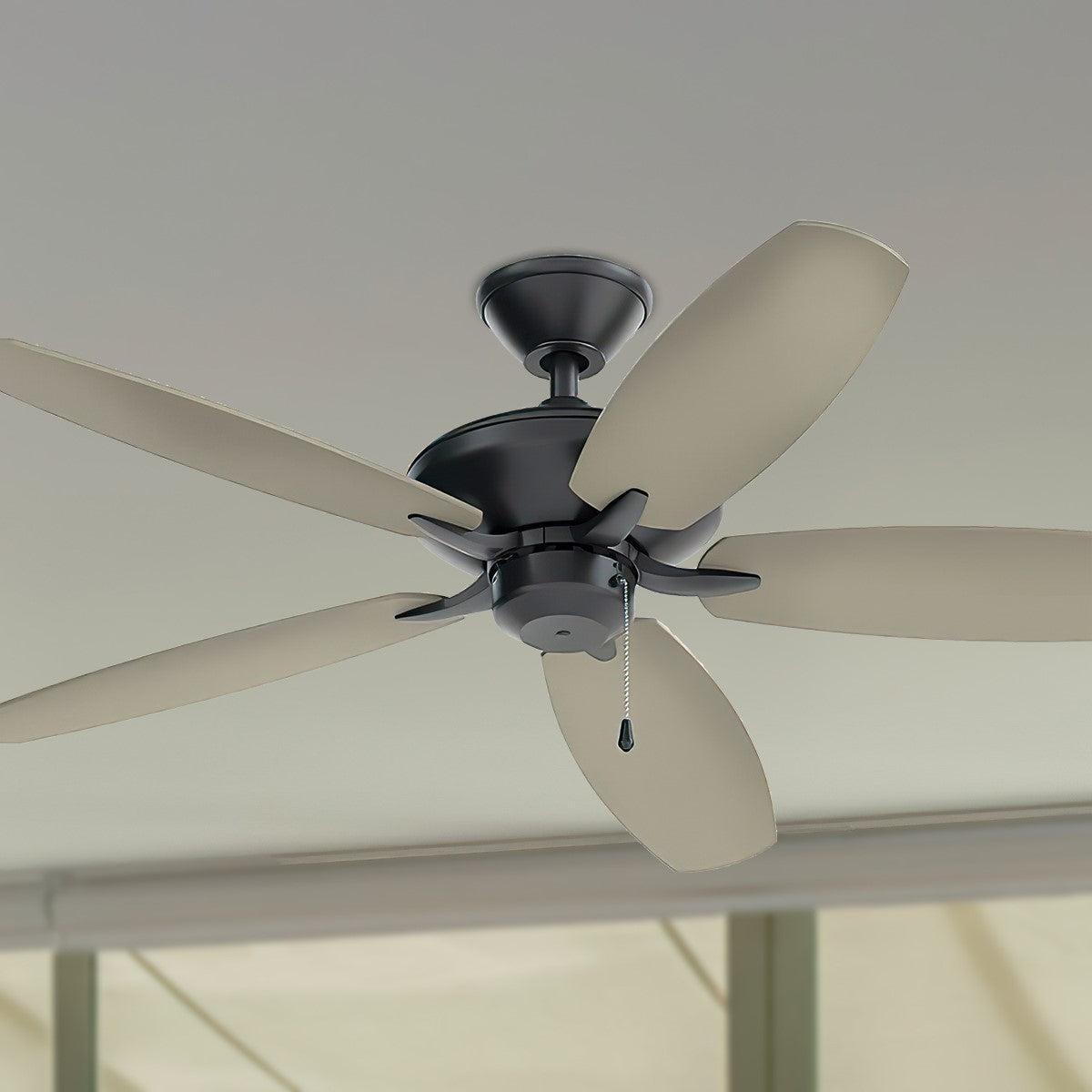 Renew Patio 52 Inch Satin Black Damp Rated Ceiling Fan with Pull Chain - Bees Lighting