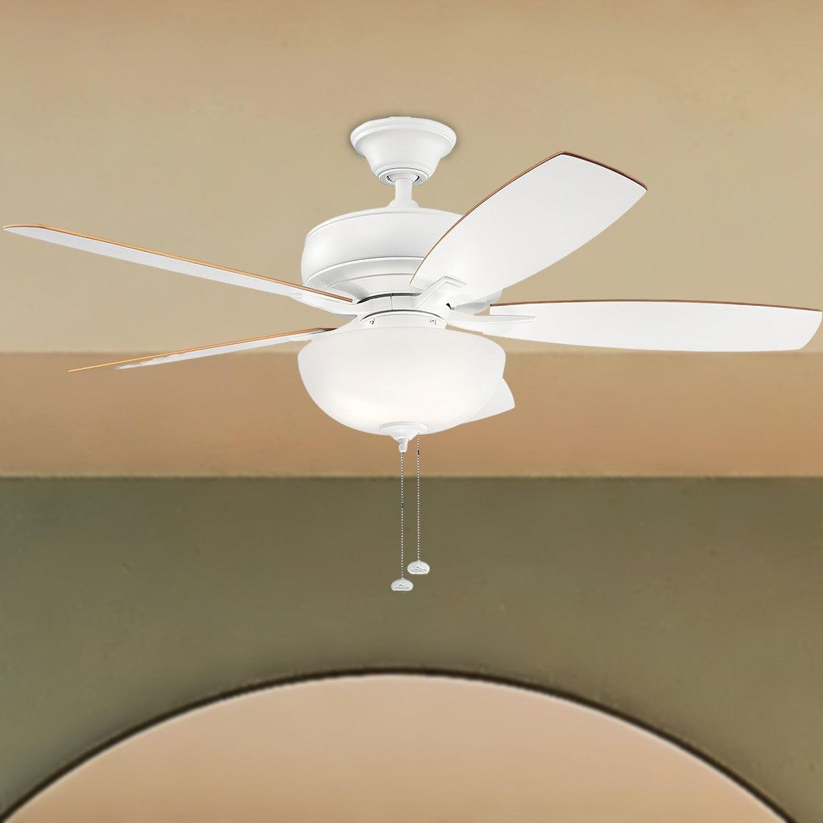Terra Select 52 Inch Modern Ceiling Fan With Light And Pull Chain - Bees Lighting