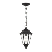 Bakersville 14" Outdoor Pendant 60938, Black Finish - Bees Lighting