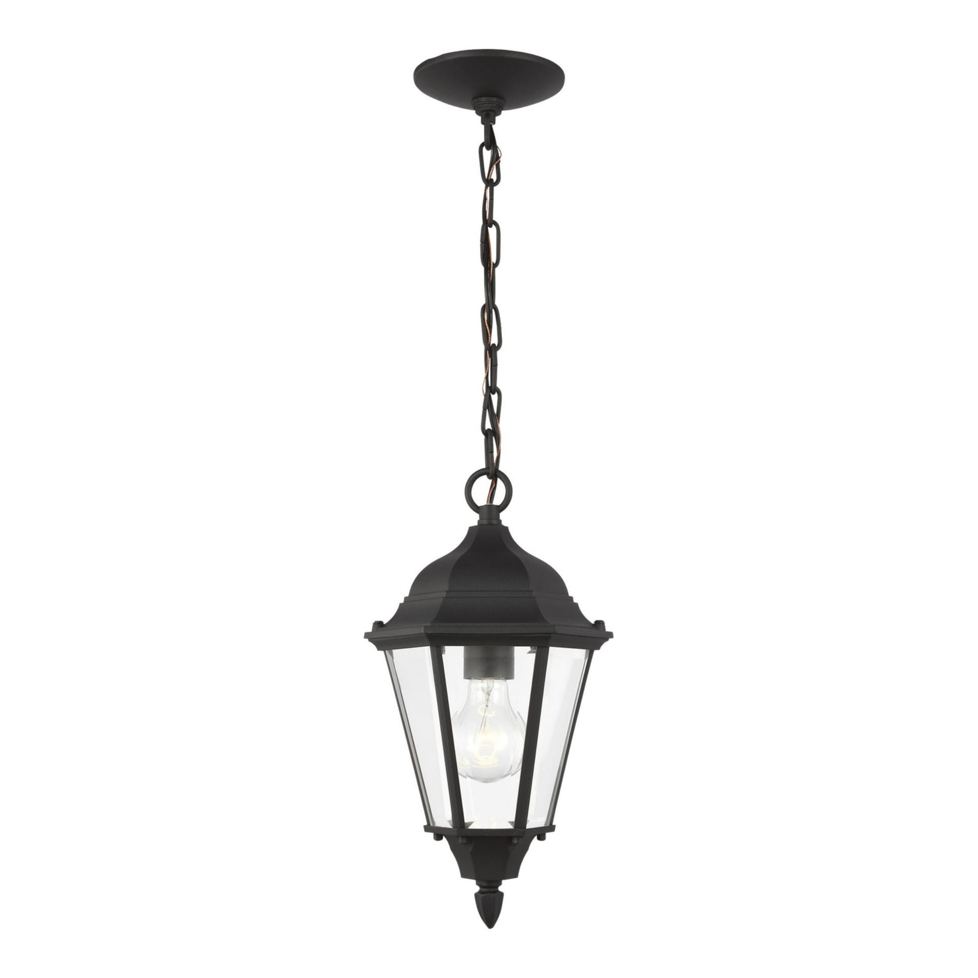 Bakersville 14" Outdoor Pendant 60938, Black Finish - Bees Lighting