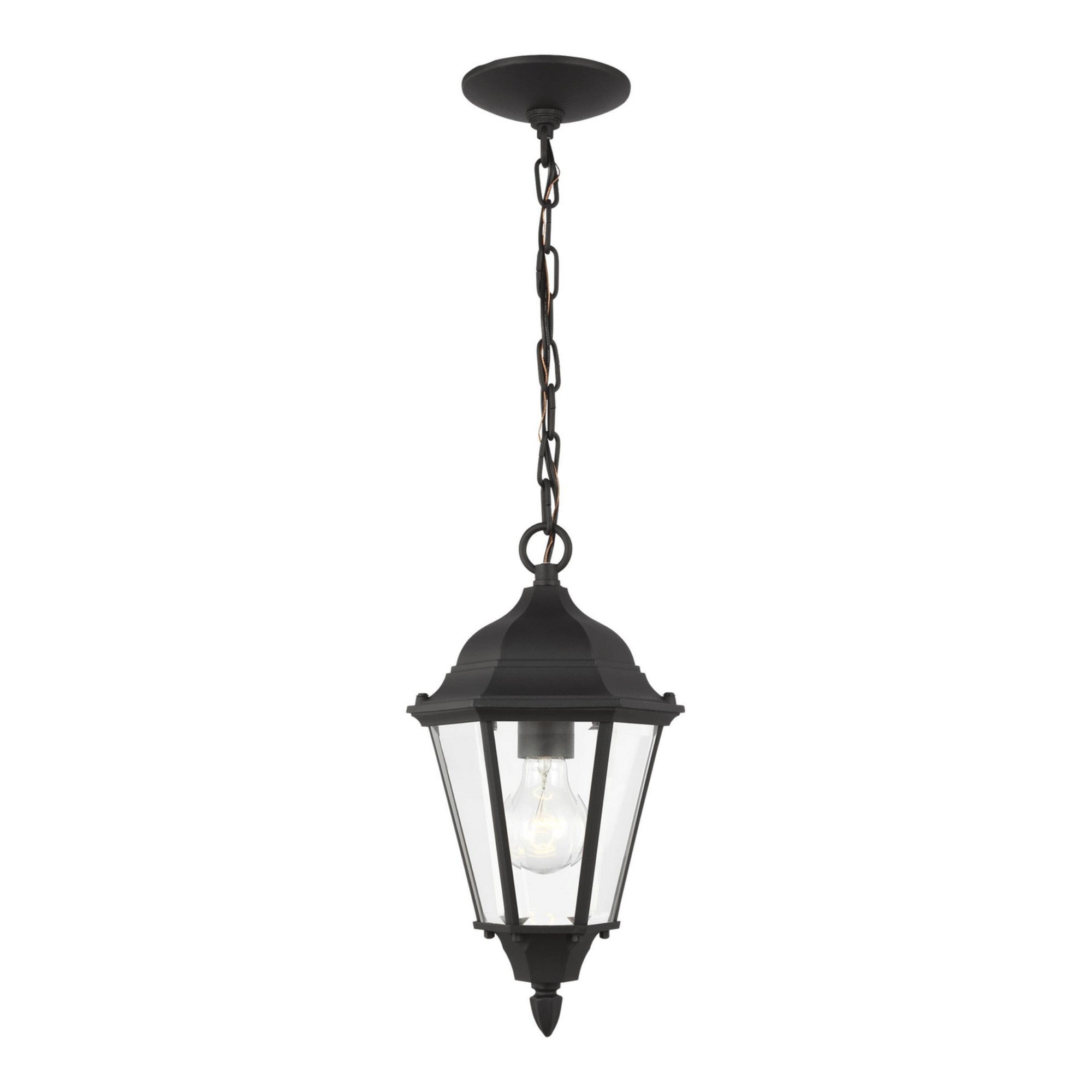 Bakersville 14" Outdoor Pendant 60938, Black Finish - Bees Lighting