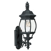 Wynfield 24" 2-Light Outdoor Wall Lantern, Black Finish with Clear Glass - Bees Lighting