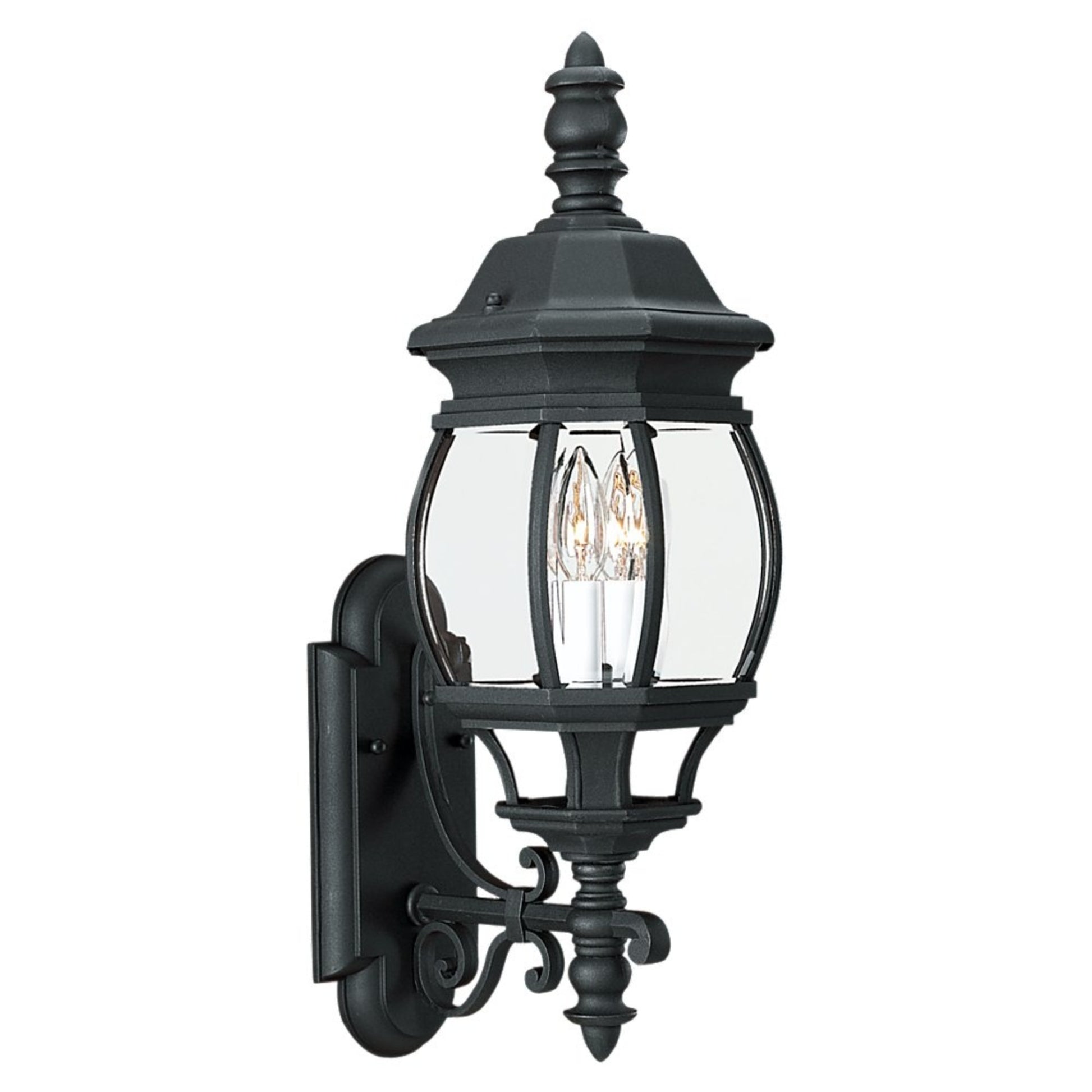 Wynfield 24" 2-Light Outdoor Wall Lantern, Black Finish with Clear Glass - Bees Lighting