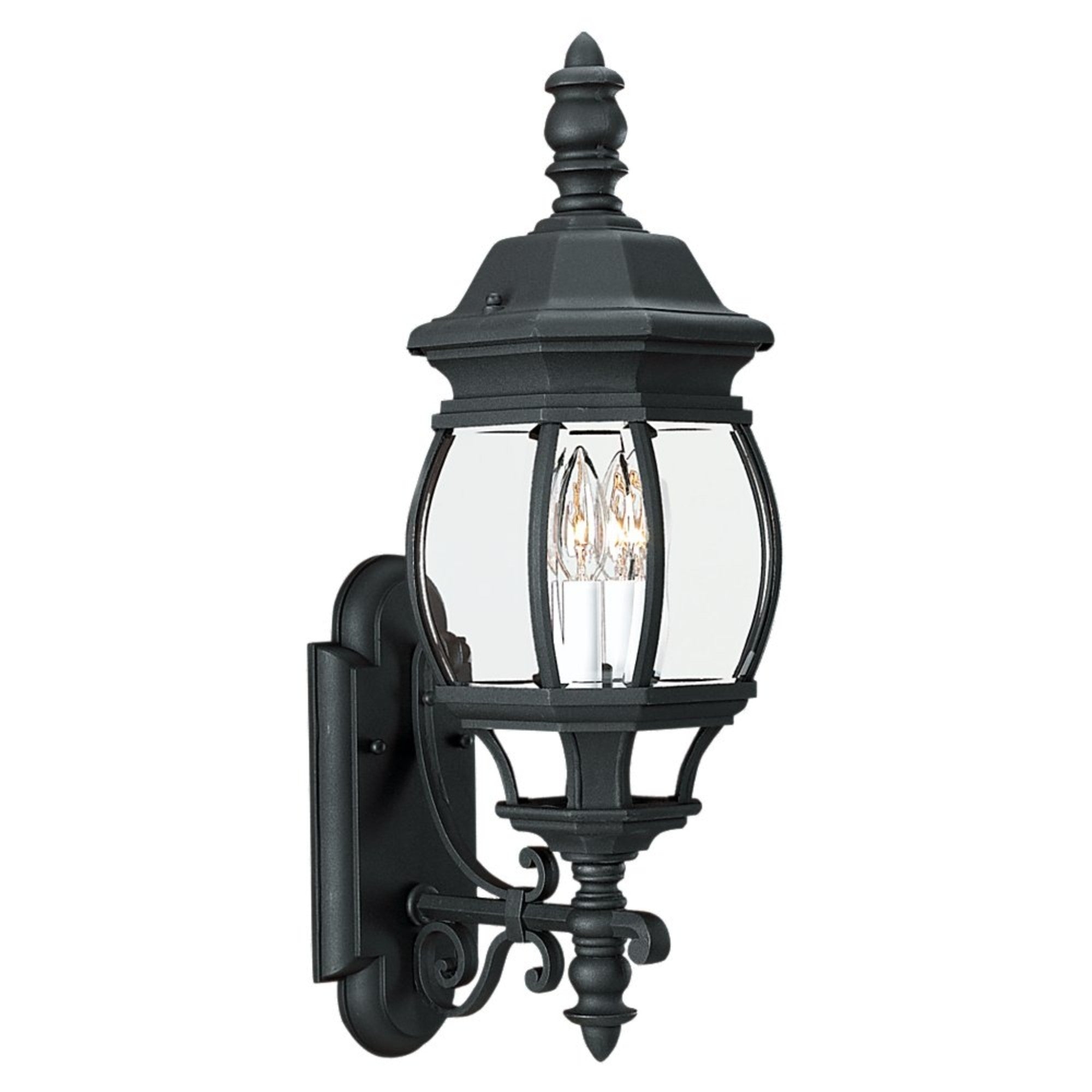 Wynfield 24" 2-Light Outdoor Wall Lantern, Black Finish with Clear Glass - Bees Lighting