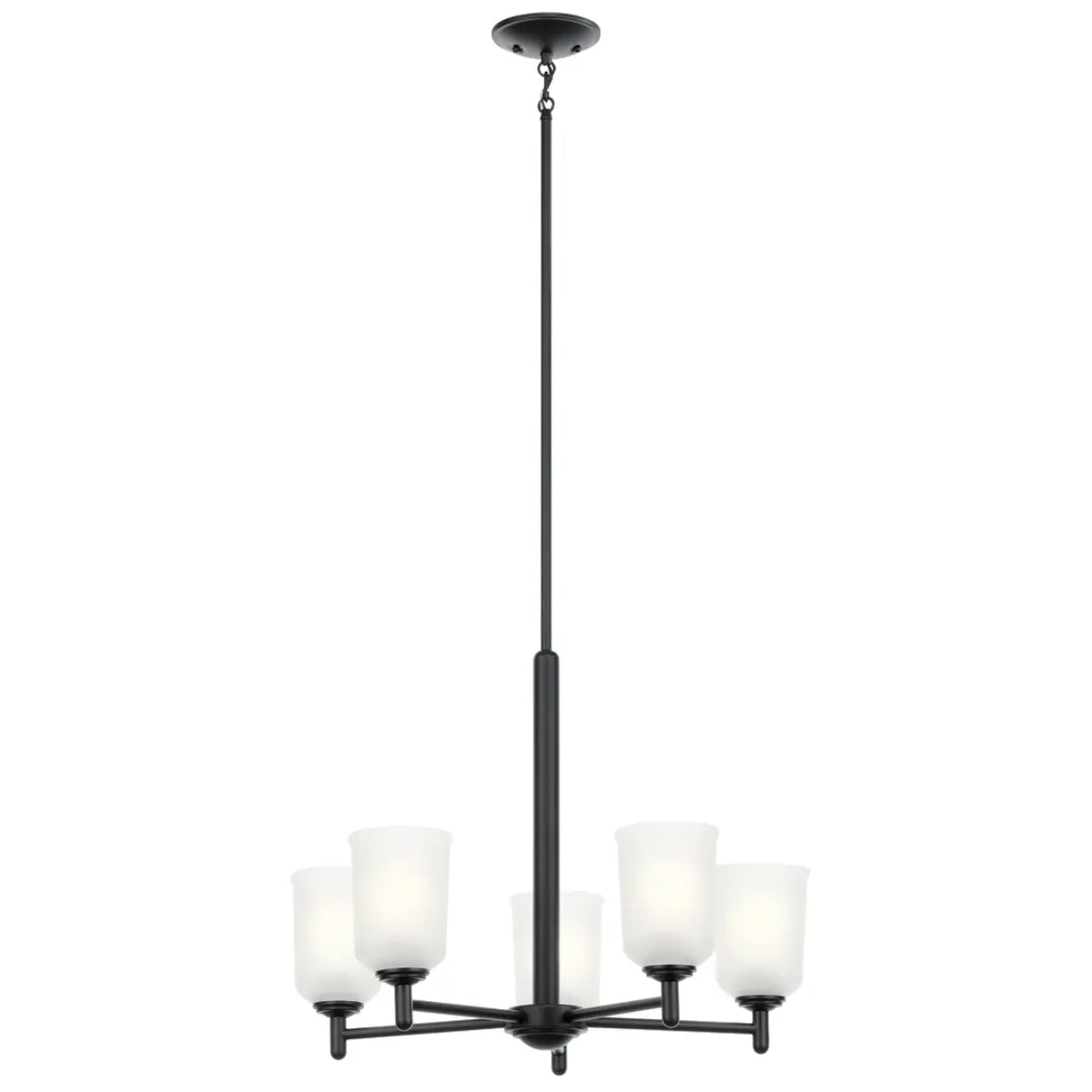 Shailene 24" 5-Light Chandelier with Clear Satin Etched Glass, Black Finish - Bees Lighting