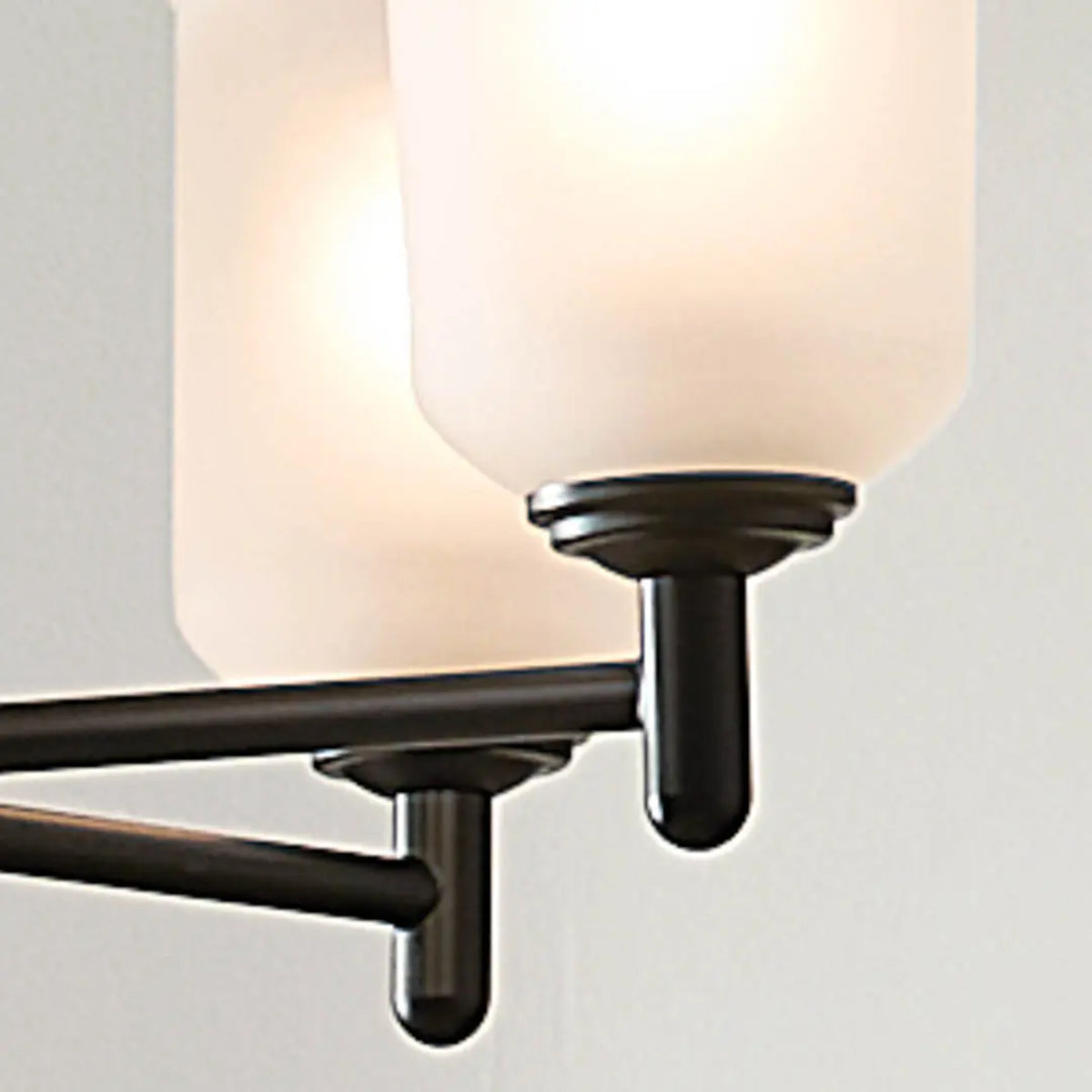 Shailene 24" 5-Light Chandelier with Clear Satin Etched Glass, Black Finish - Bees Lighting