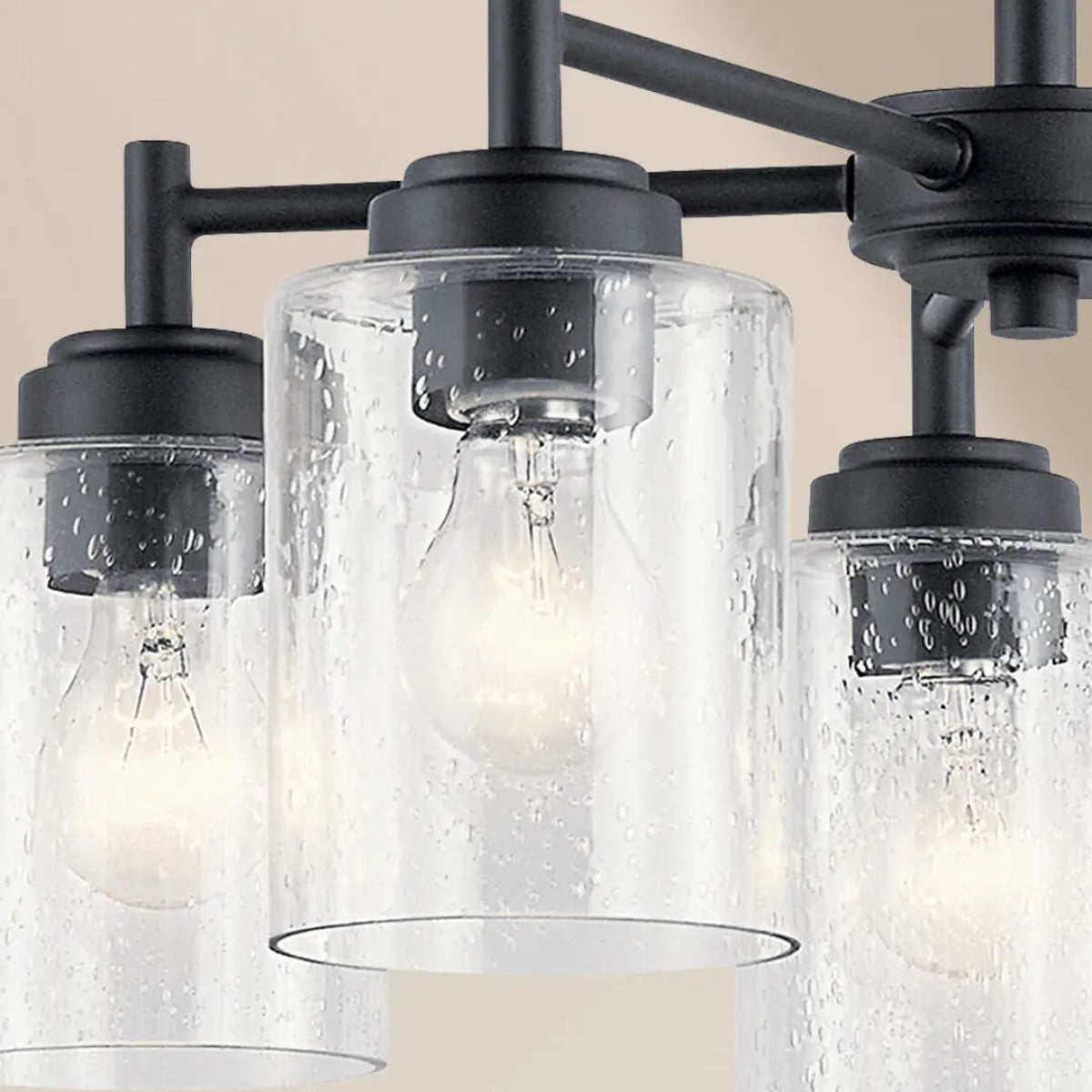 Winslow 20" 5-Light Chandelier, Black Finish - Bees Lighting