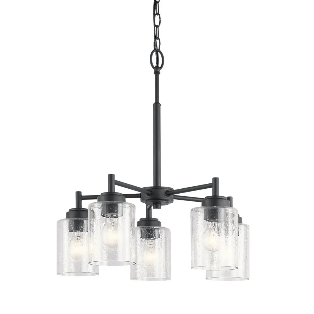 Winslow 20" 5-Light Chandelier, Black Finish - Bees Lighting