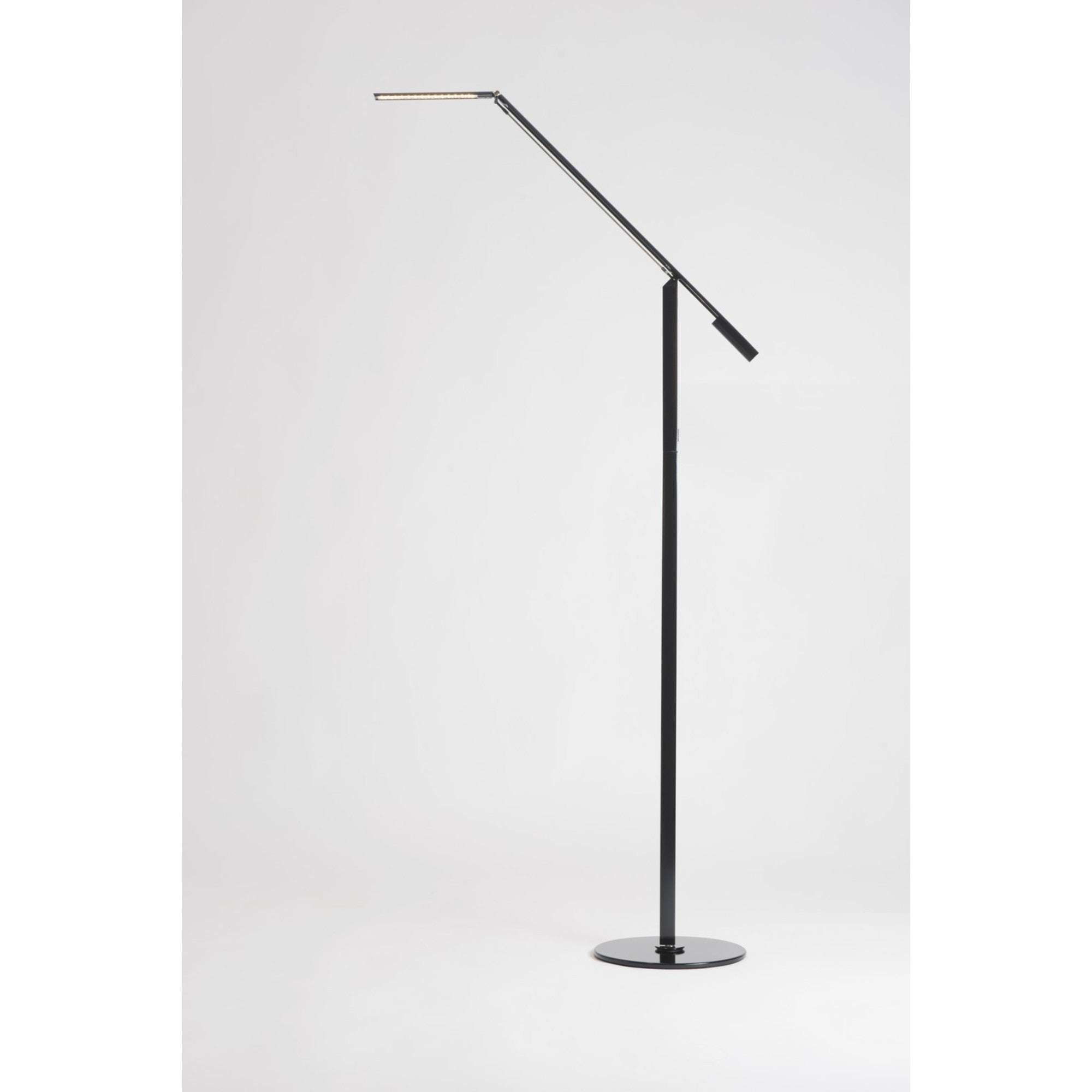 Equo Black Contemporary Cool White LED Floor Lamp - Bees Lighting