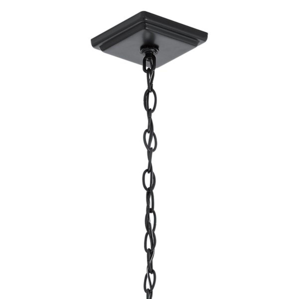 Pai 24 In. Outdoor Hanging Lantern Black Finish - Bees Lighting