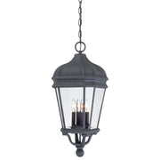 Harrison 29" 4-Light Outdoor Chain Hung, Coal Finish - Bees Lighting