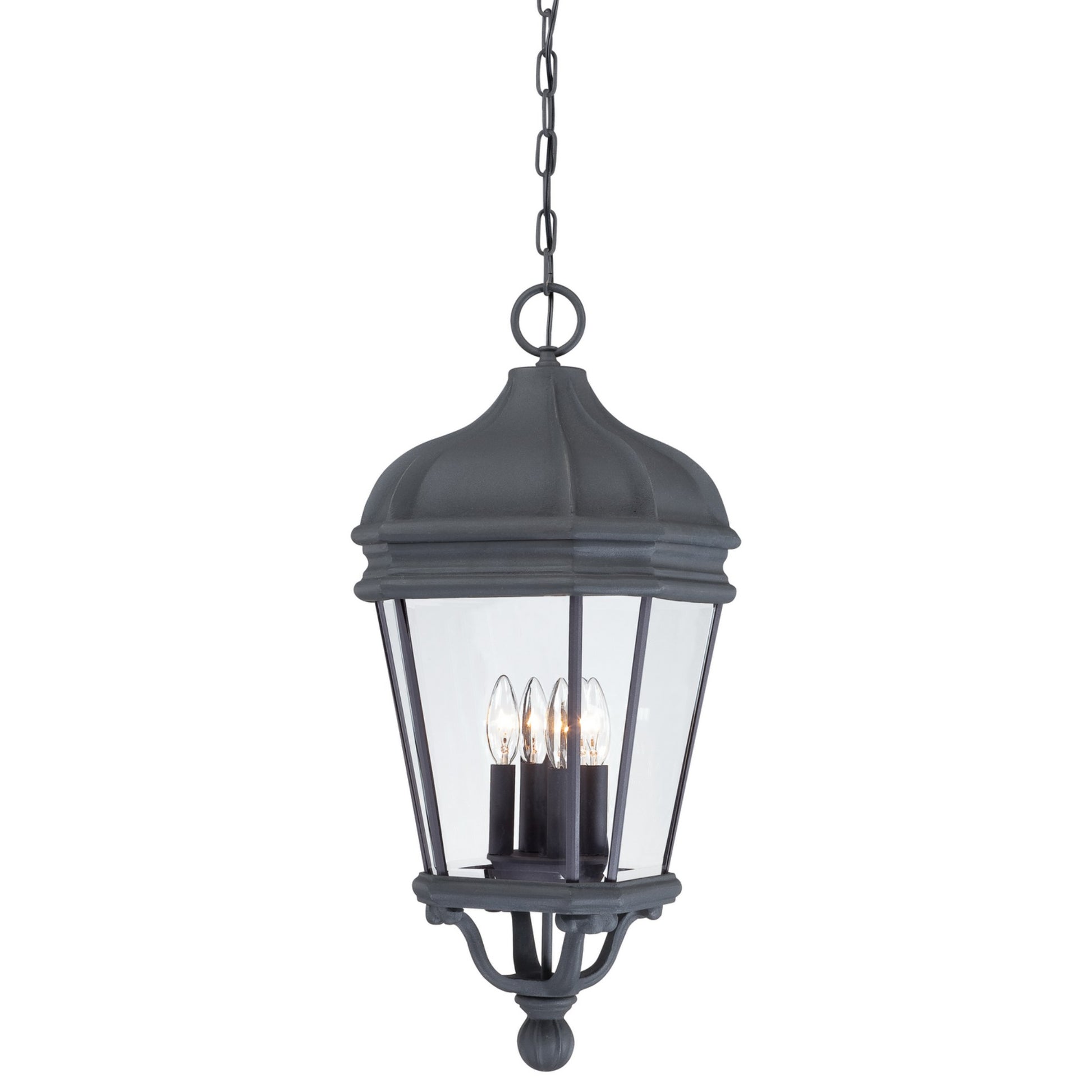 Harrison 29" 4-Light Outdoor Chain Hung, Coal Finish - Bees Lighting