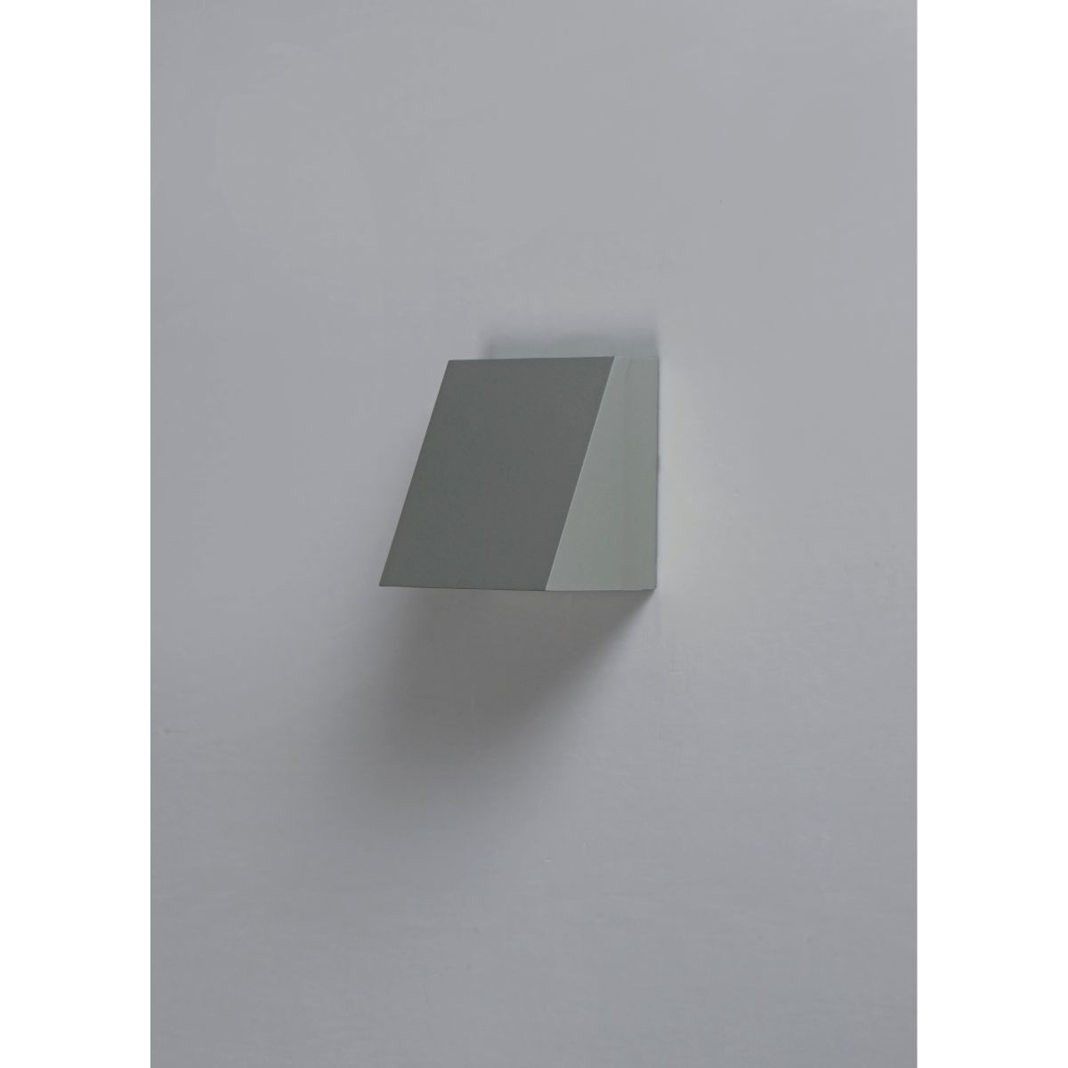 Pathfinder 6 in. LED Outdoor Wall Sconce 880 Lumens 3000K Silver - Bees Lighting