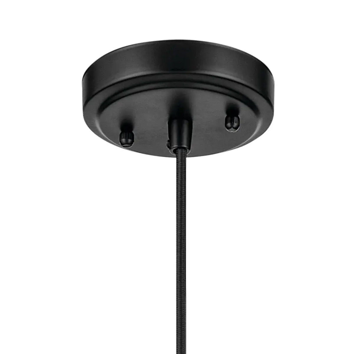 Zailey 16 in. PCone endant Light Black Finish - Bees Lighting