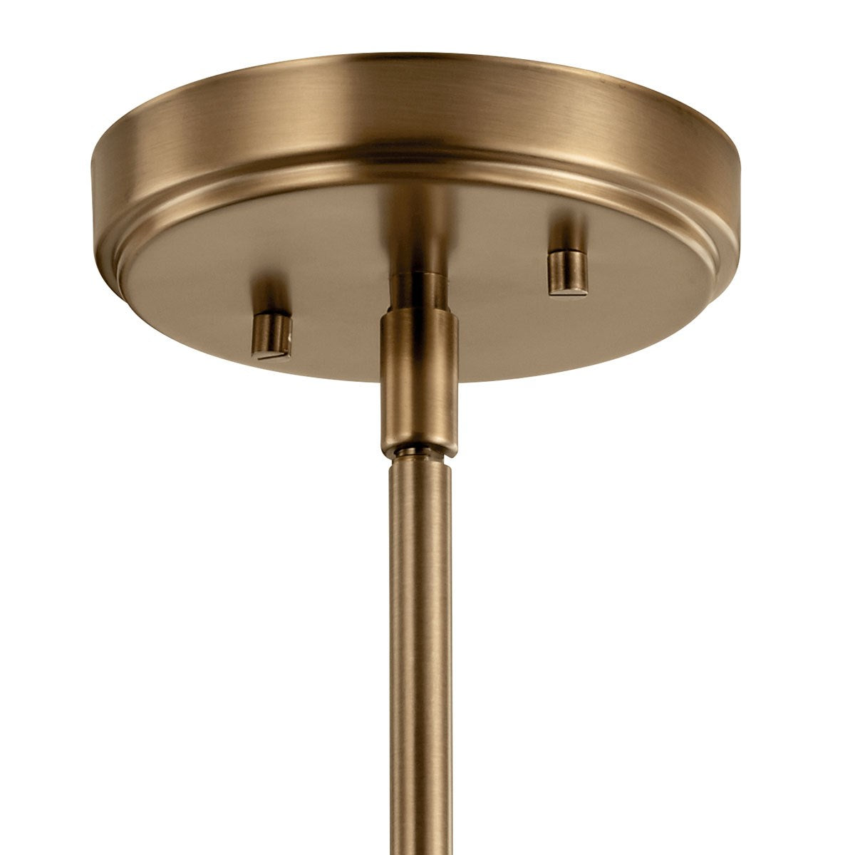Aivian 5 in. Pendant Light Brass Finish - Bees Lighting