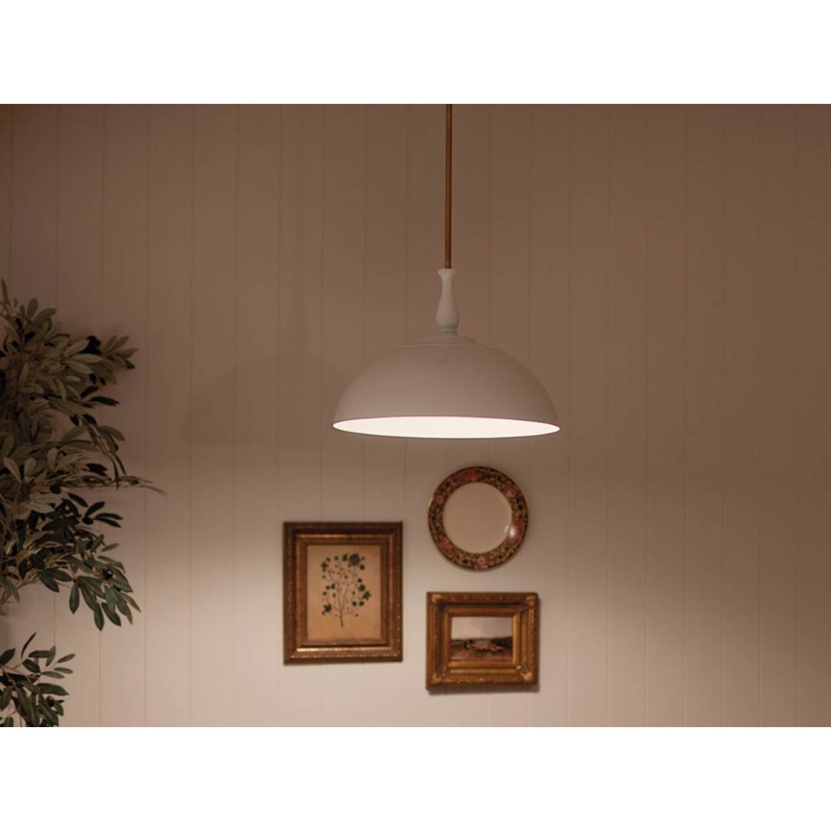 Fira Pendant Light - Bees Lighting