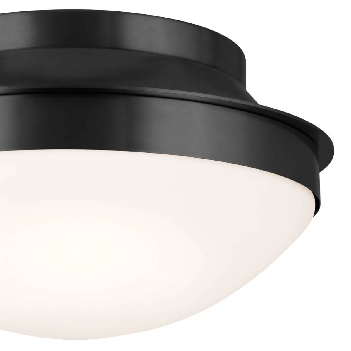Bretta 14 in. 2 Lights Flush Mount Light Black Finish - Bees Lighting