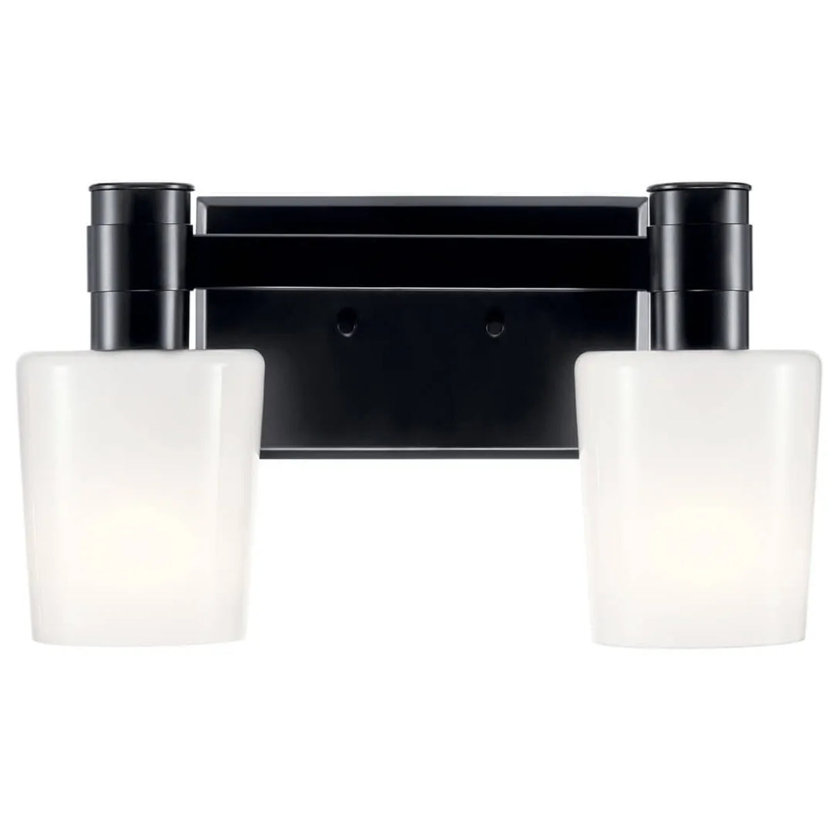 Adani 14 In 2-Lights Bathroom Vanity Light With Opal Glass, Black Finish - Bees Lighting