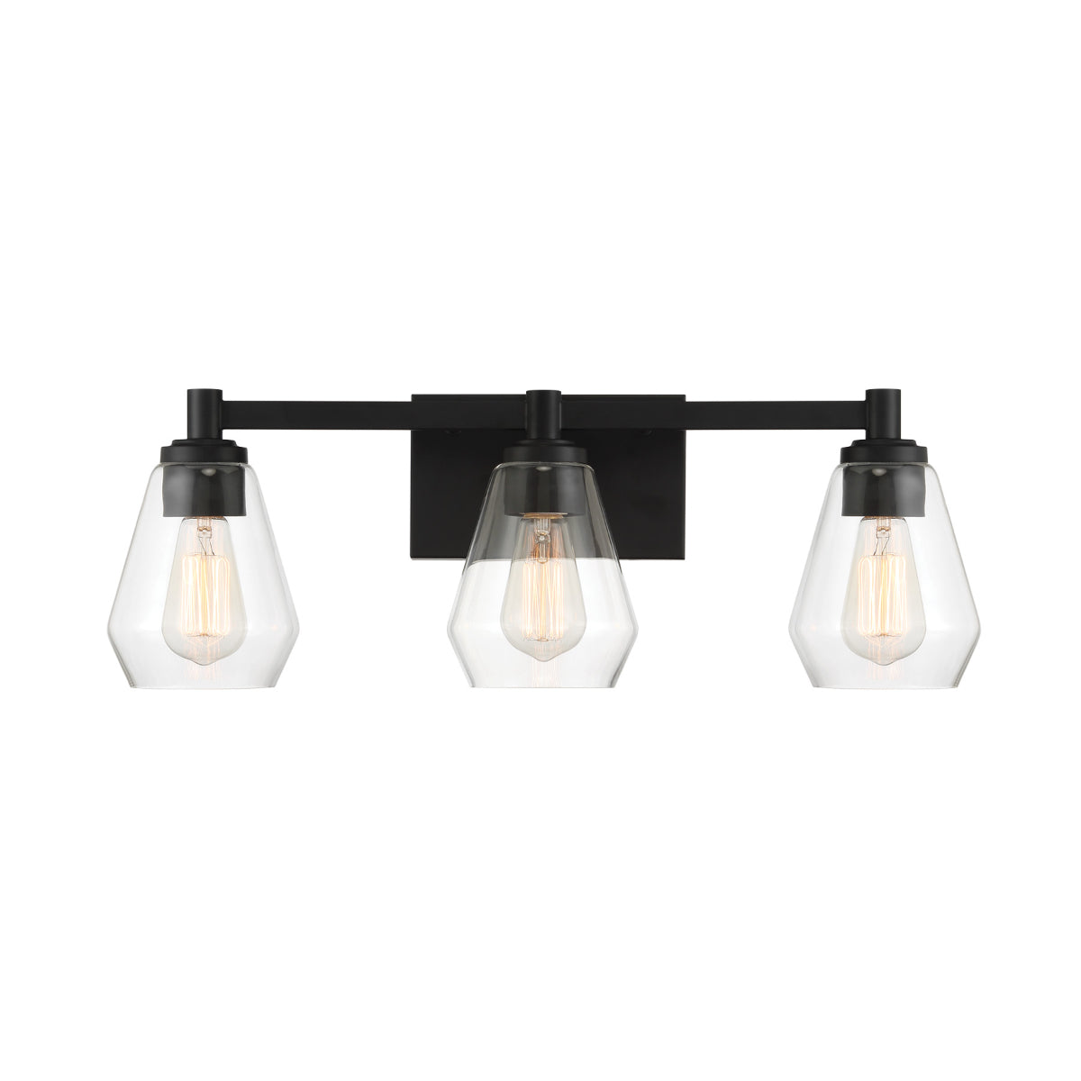 Clarity Bathroom Vanity Light - Bees Lighting