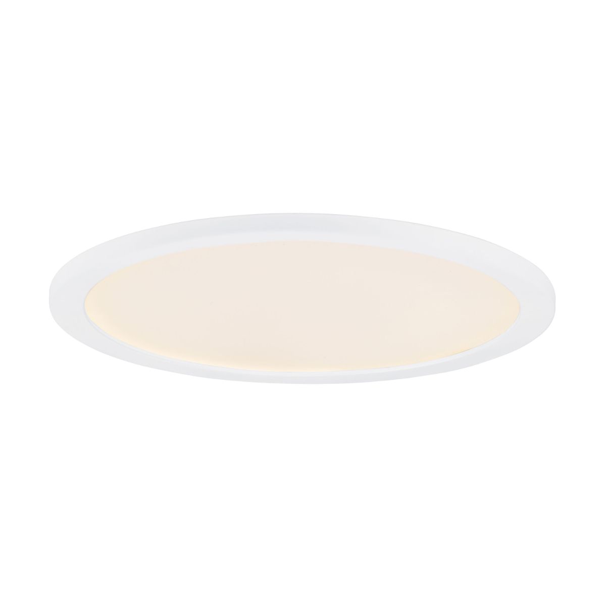 Wafer 22" Round LED Surface Mount Light - Bees Lighting