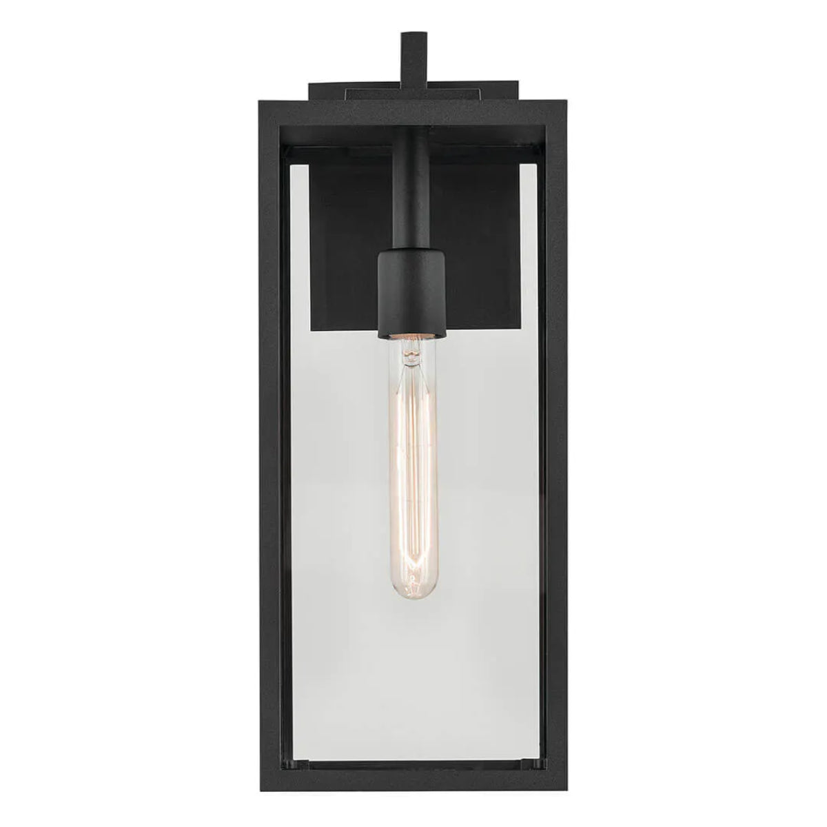 Branner 18" 1-Light Outdoor Wall Light with Clear Glass, Black Finish - Bees Lighting