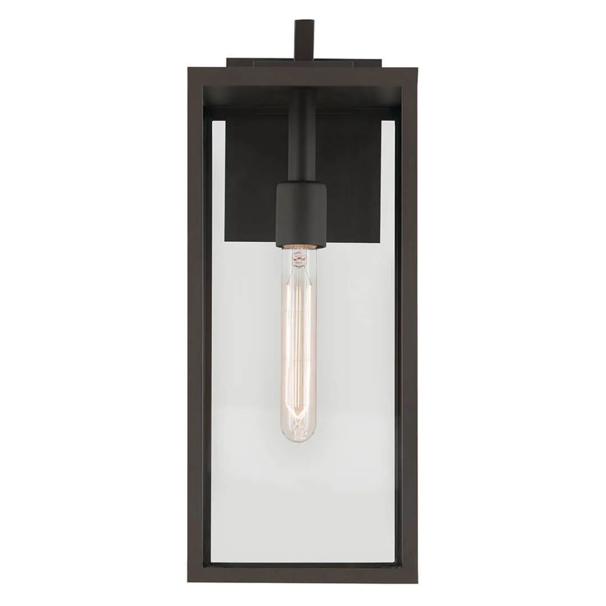 Branner 18" 1-Light Outdoor Wall Light with Clear Glass, Bronze Finish - Bees Lighting