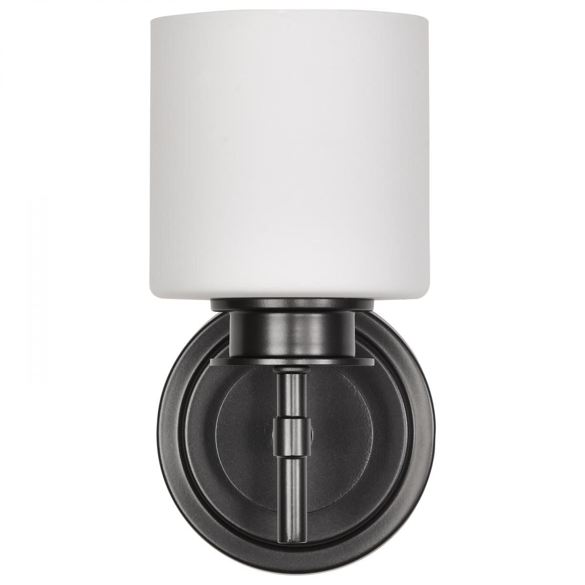 Warren 9" Bathroom Vanity Light, Gun Metal Finish - Bees Lighting