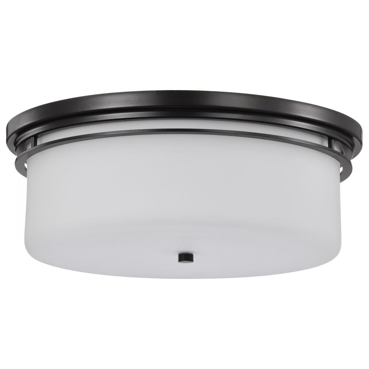Warren 24" 2 Lights Flush Mount Light, Gun Metal Finish - Bees Lighting