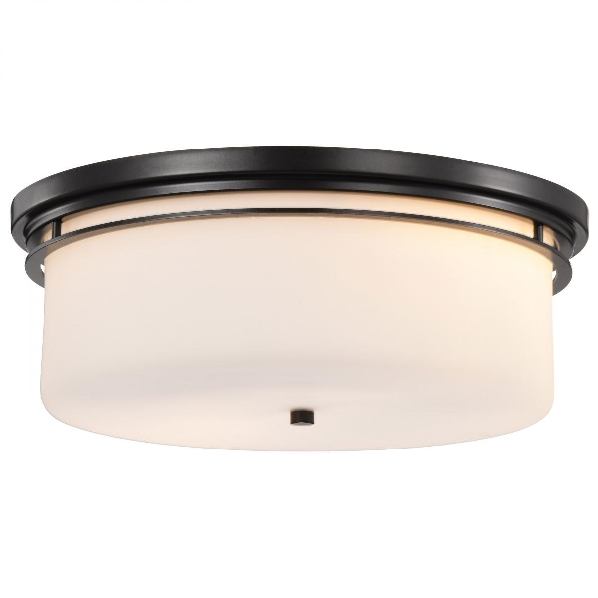 Warren 24" 2 Lights Flush Mount, Gun Metal Finish - Bees Lighting