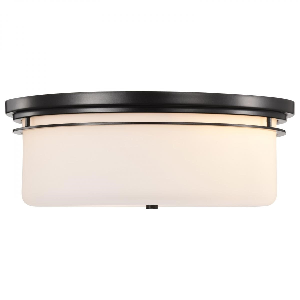 Warren 24" 2 Lights Flush Mount, Gun Metal Finish - Bees Lighting