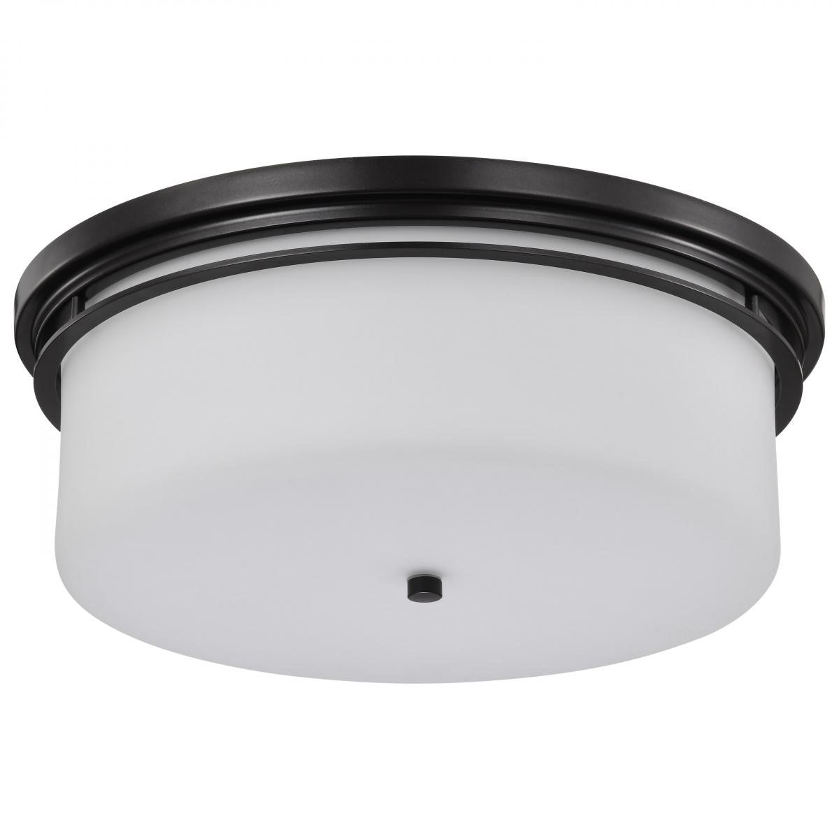 Warren 24" 2 Lights Flush Mount, Gun Metal Finish - Bees Lighting