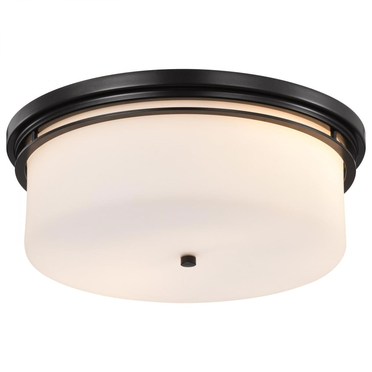 Warren 24" 2 Lights Flush Mount, Gun Metal Finish - Bees Lighting