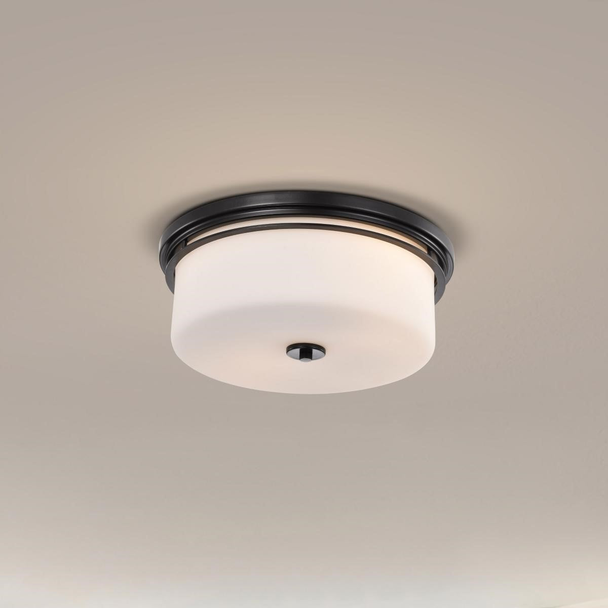 Warren 24" 2 Lights Flush Mount, Gun Metal Finish - Bees Lighting
