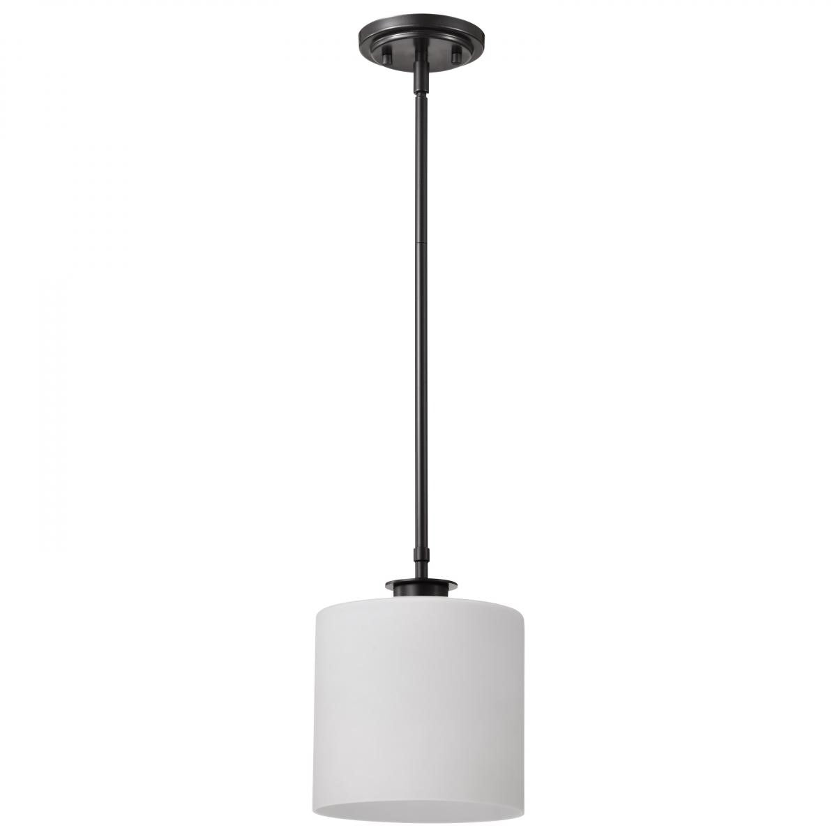 Warren 10" Pendant Light, Gun Metal Finish - Bees Lighting