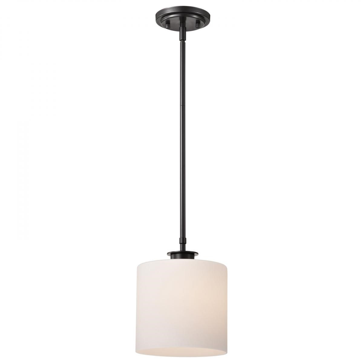 Warren 10" Pendant Light, Gun Metal Finish - Bees Lighting