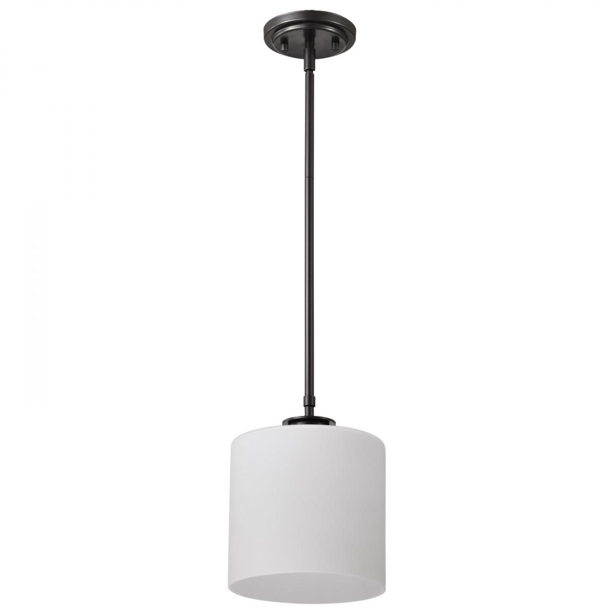 Warren 10" Pendant Light, Gun Metal Finish - Bees Lighting